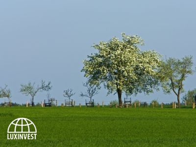 Easter in Malaga - 4 April
